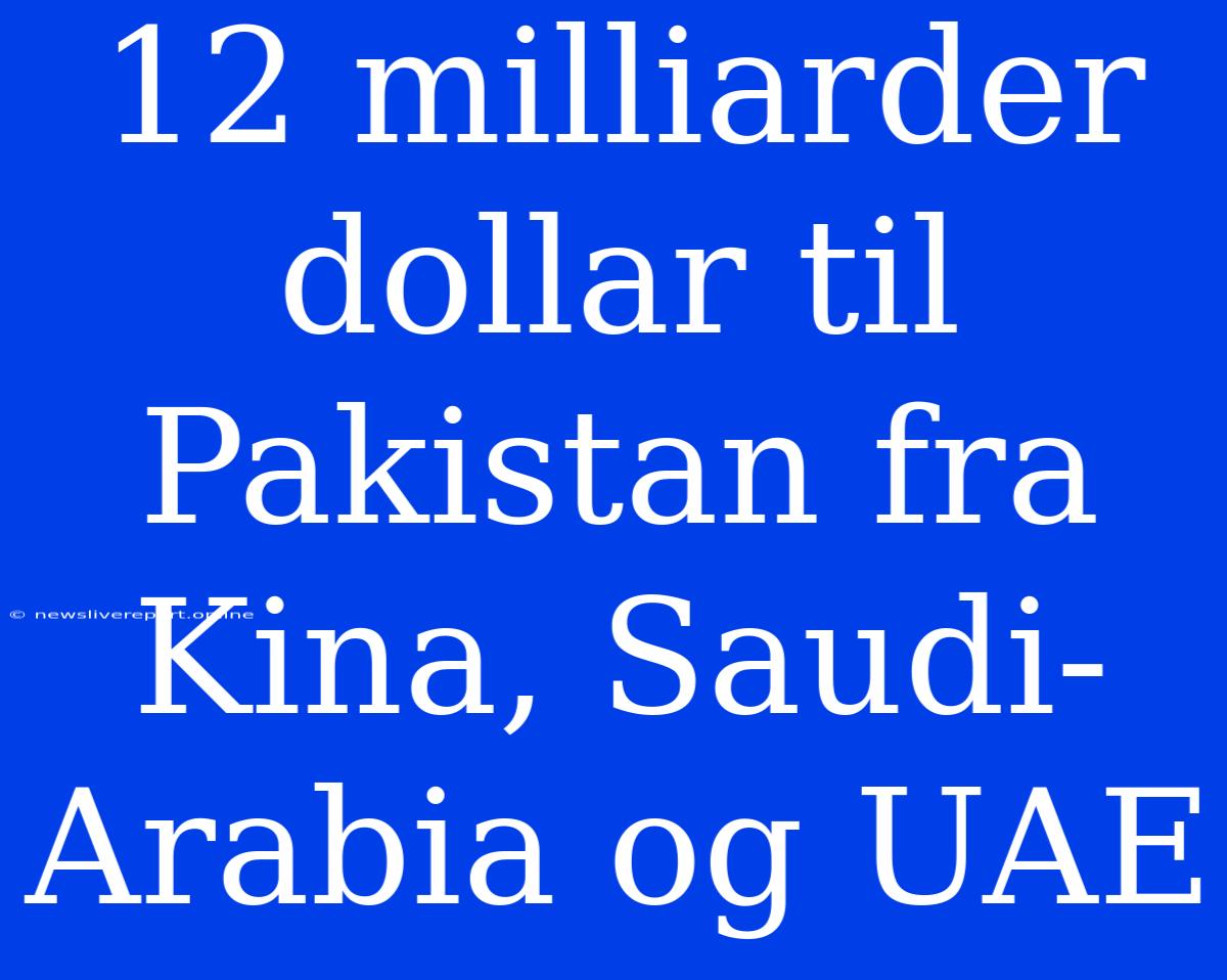 12 Milliarder Dollar Til Pakistan Fra Kina, Saudi-Arabia Og UAE