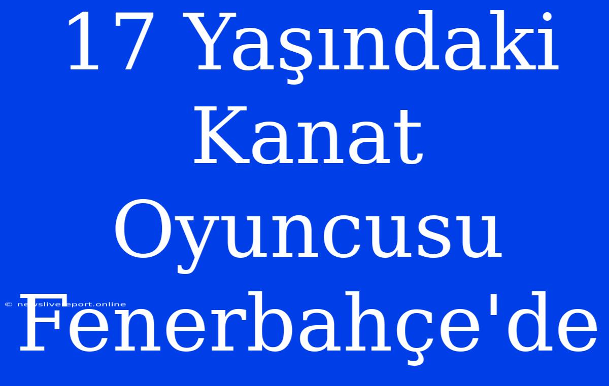 17 Yaşındaki Kanat Oyuncusu Fenerbahçe'de