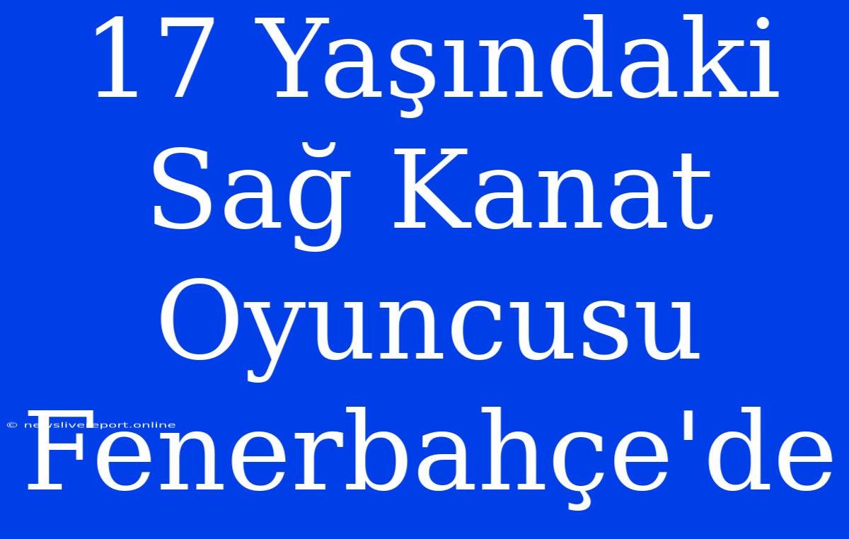 17 Yaşındaki Sağ Kanat Oyuncusu Fenerbahçe'de