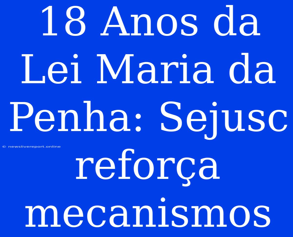 18 Anos Da Lei Maria Da Penha: Sejusc Reforça Mecanismos