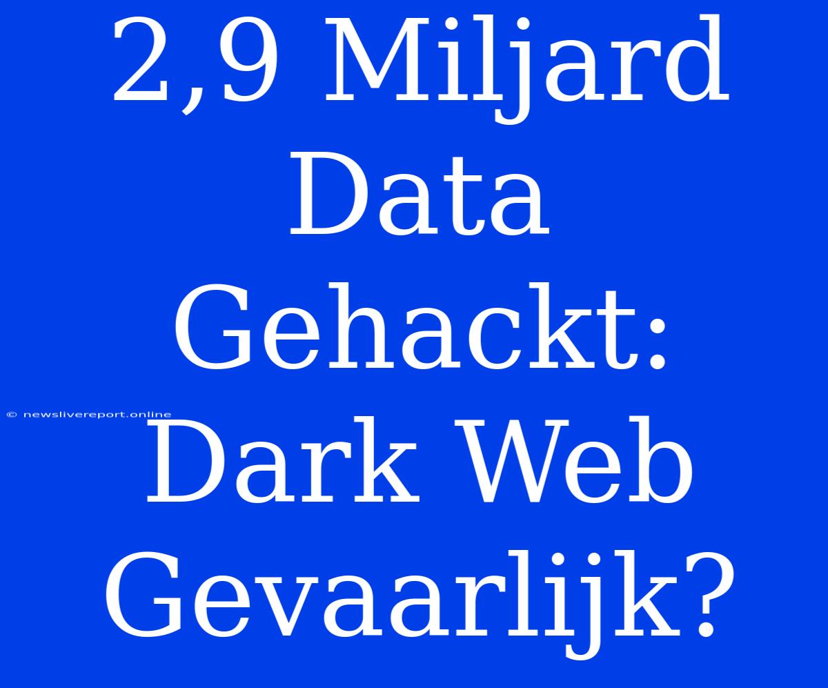 2,9 Miljard Data Gehackt: Dark Web Gevaarlijk?