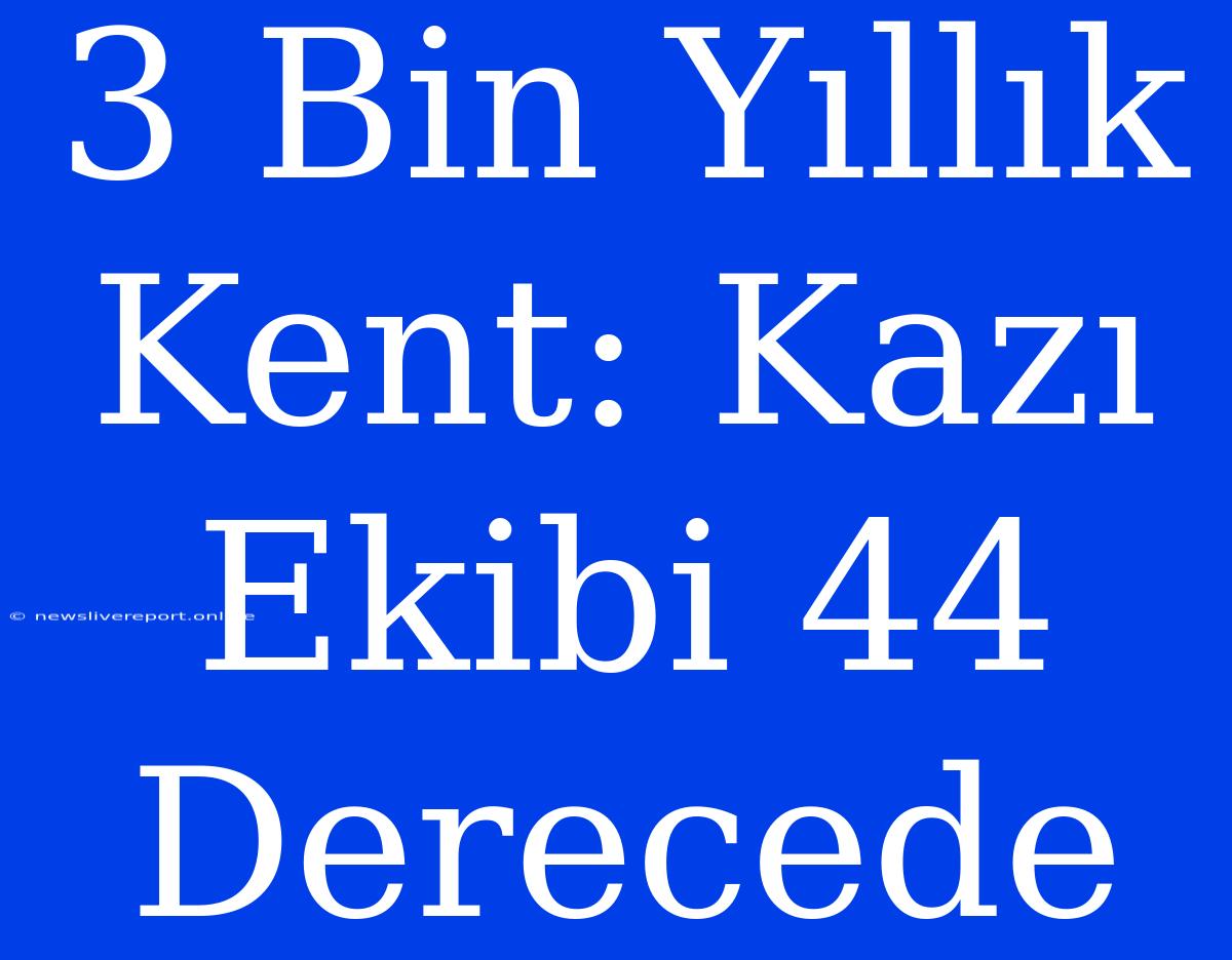 3 Bin Yıllık Kent: Kazı Ekibi 44 Derecede