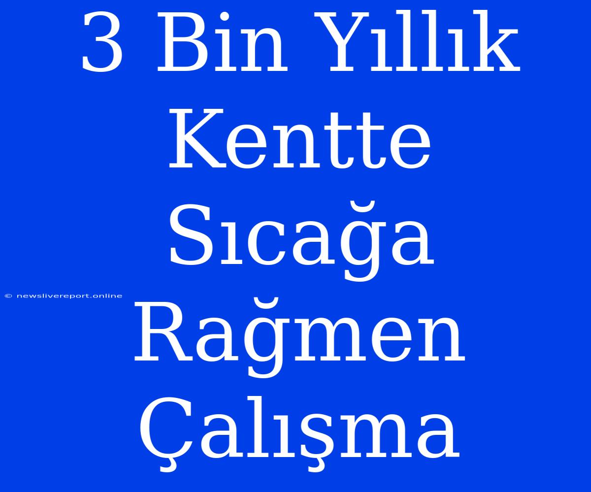 3 Bin Yıllık Kentte Sıcağa Rağmen Çalışma