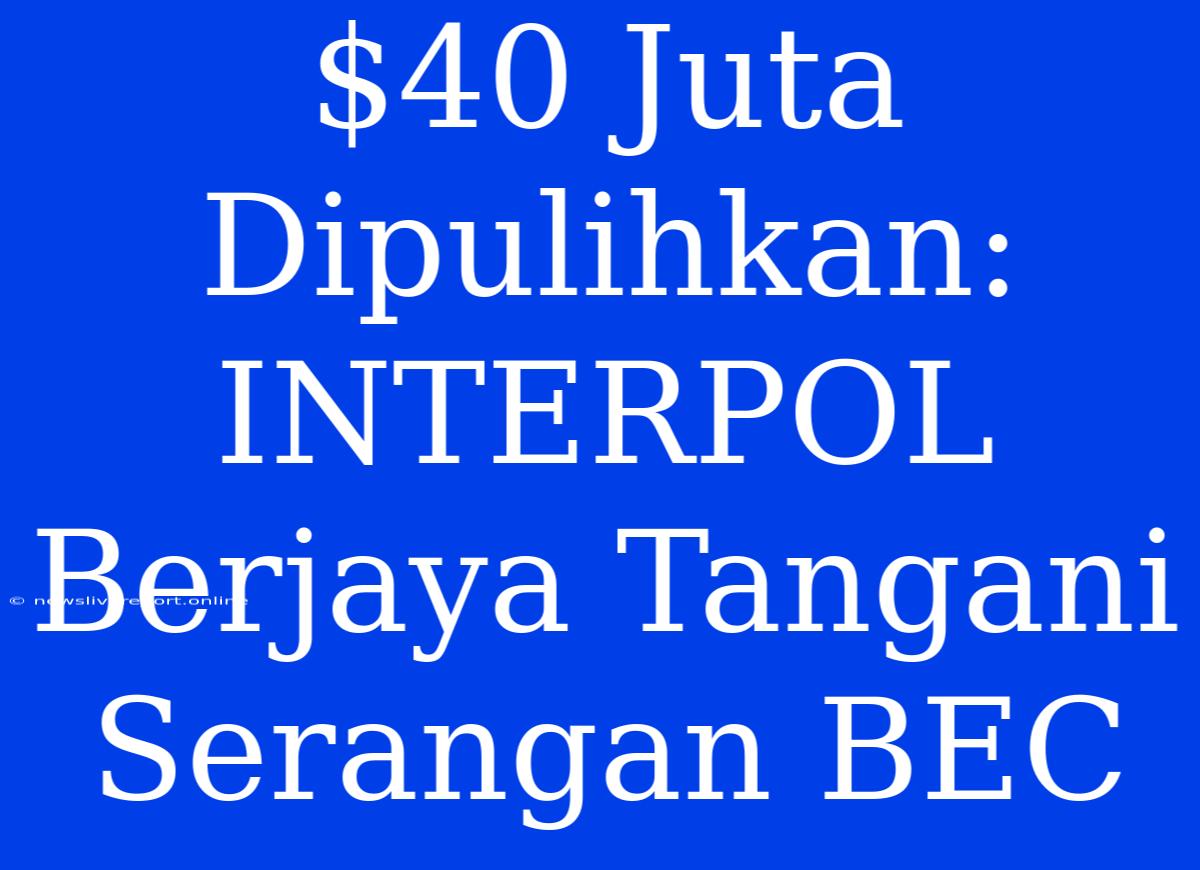 $40 Juta Dipulihkan: INTERPOL Berjaya Tangani Serangan BEC