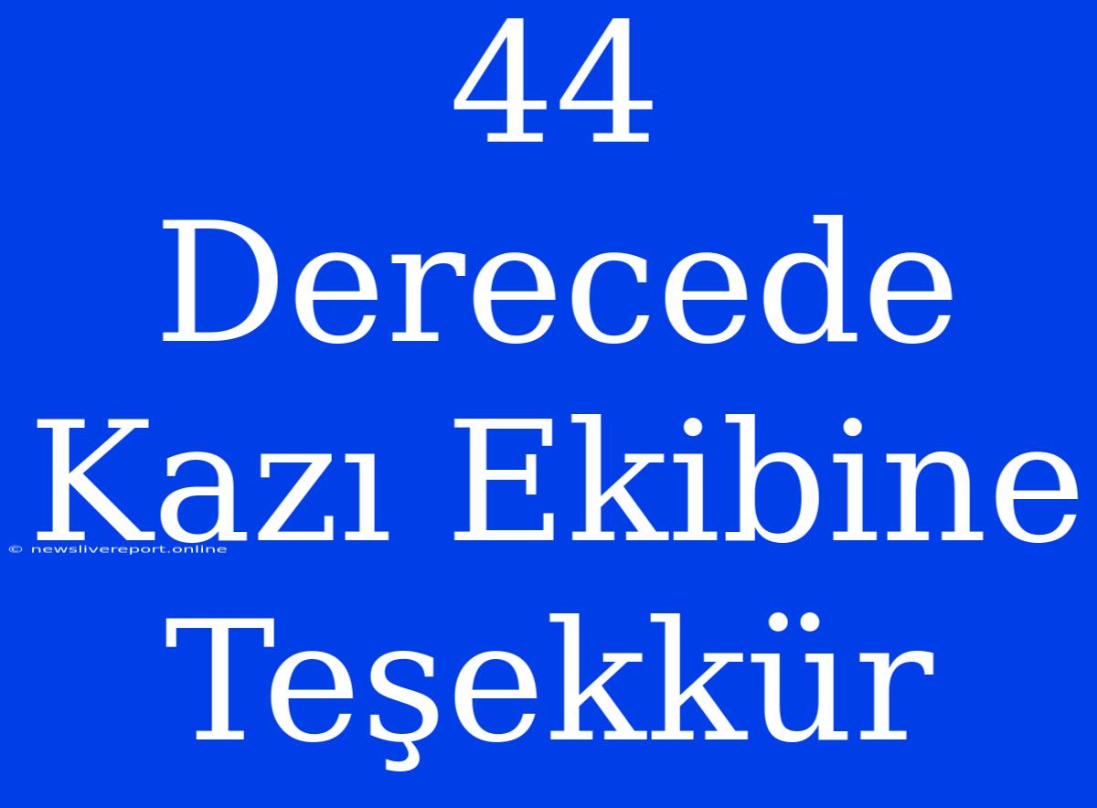 44 Derecede Kazı Ekibine Teşekkür