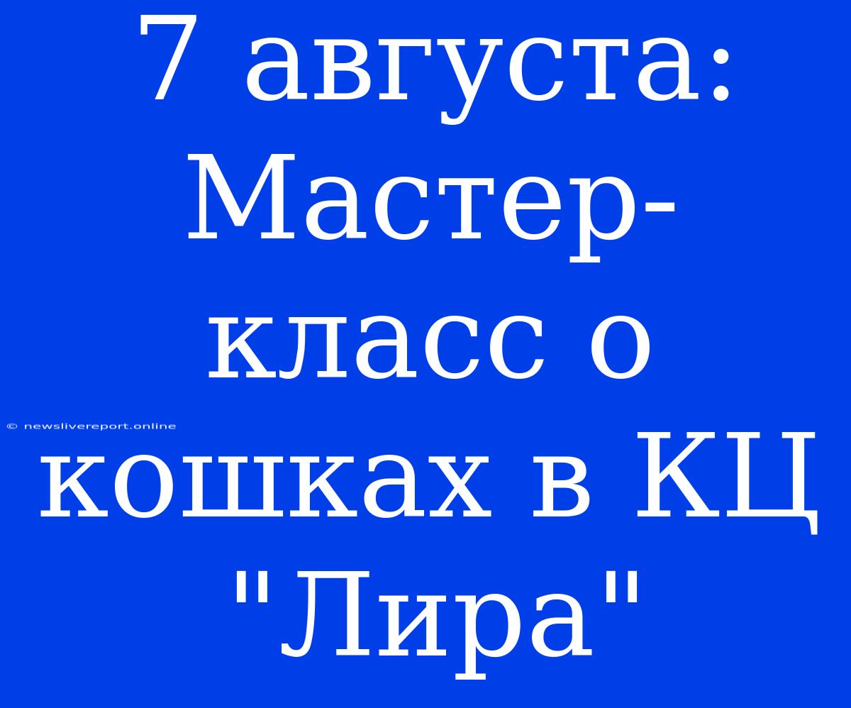 7 Августа: Мастер-класс О Кошках В КЦ 