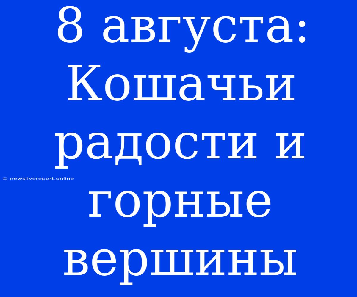 8 Августа: Кошачьи Радости И Горные Вершины