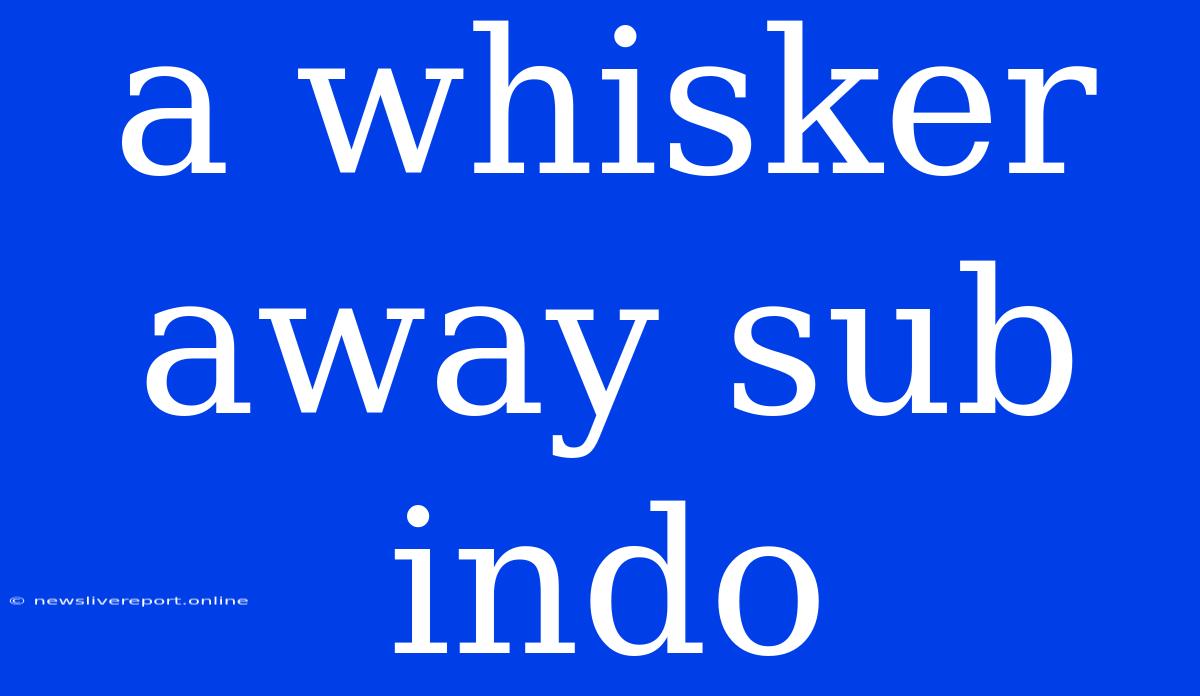 A Whisker Away Sub Indo