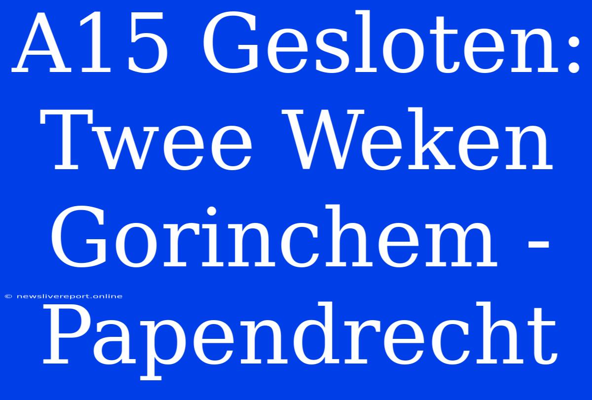 A15 Gesloten: Twee Weken Gorinchem - Papendrecht