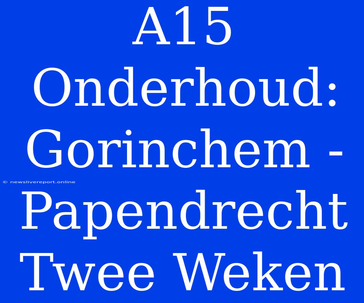 A15 Onderhoud: Gorinchem - Papendrecht Twee Weken