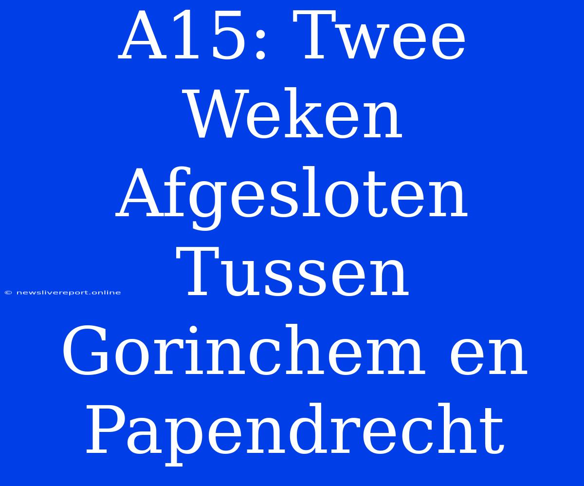 A15: Twee Weken Afgesloten Tussen Gorinchem En Papendrecht