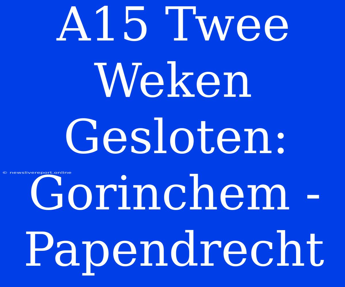 A15 Twee Weken Gesloten: Gorinchem - Papendrecht