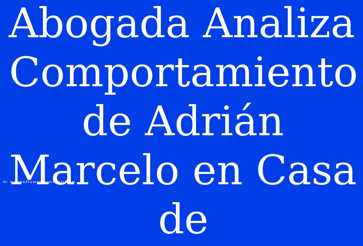 Abogada Analiza Comportamiento De Adrián Marcelo En Casa De