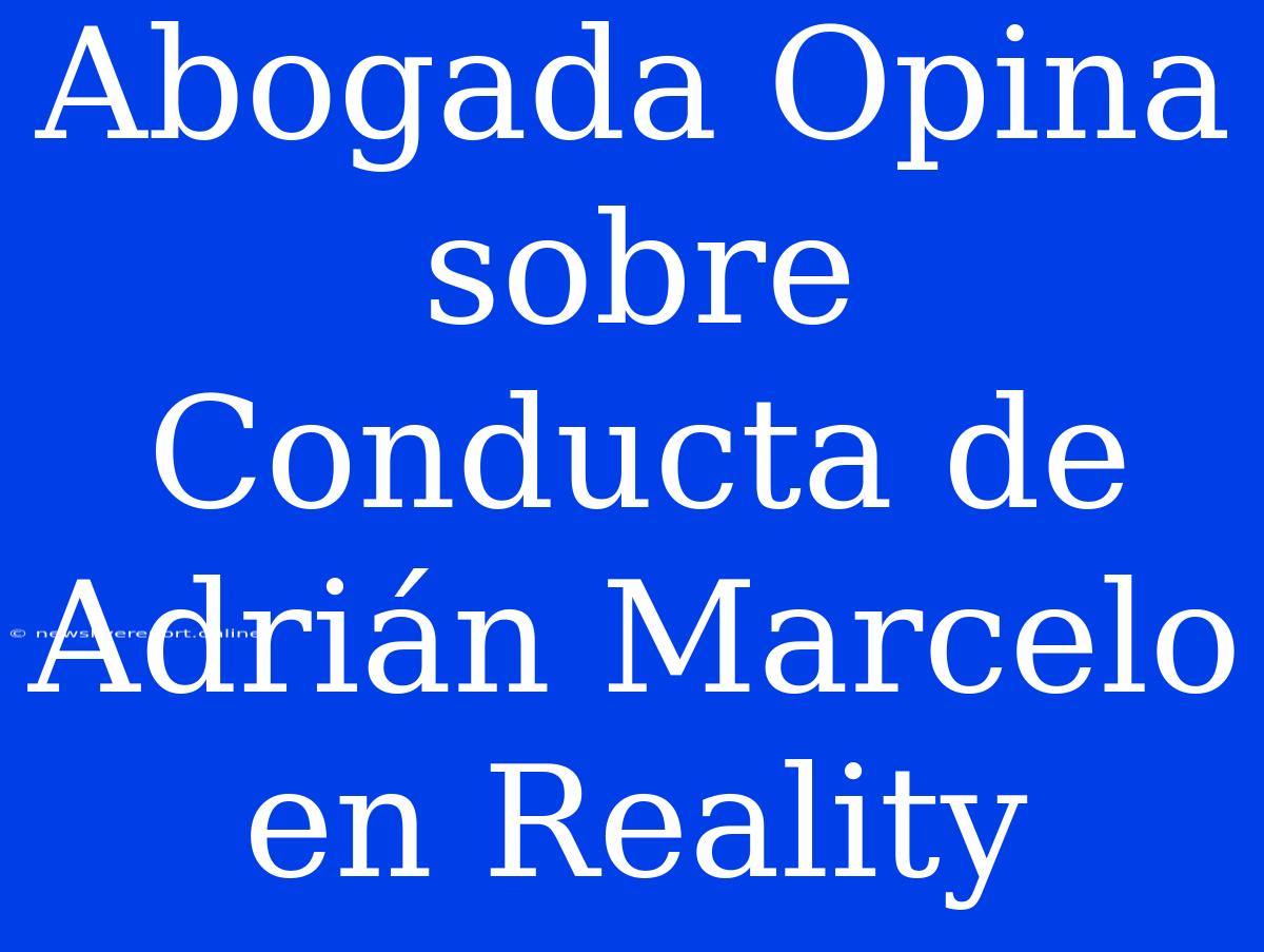 Abogada Opina Sobre Conducta De Adrián Marcelo En Reality