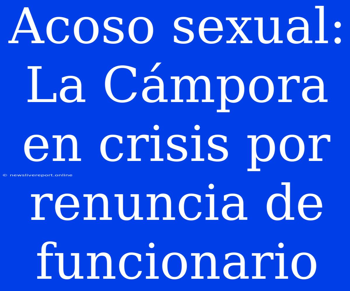 Acoso Sexual: La Cámpora En Crisis Por Renuncia De Funcionario