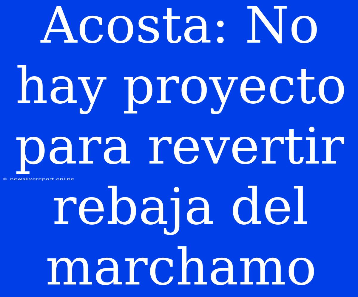 Acosta: No Hay Proyecto Para Revertir Rebaja Del Marchamo