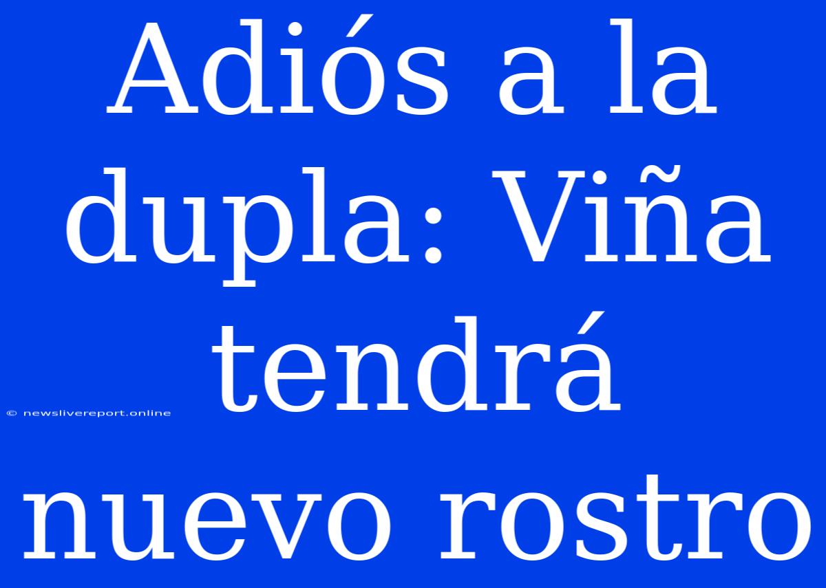 Adiós A La Dupla: Viña Tendrá Nuevo Rostro