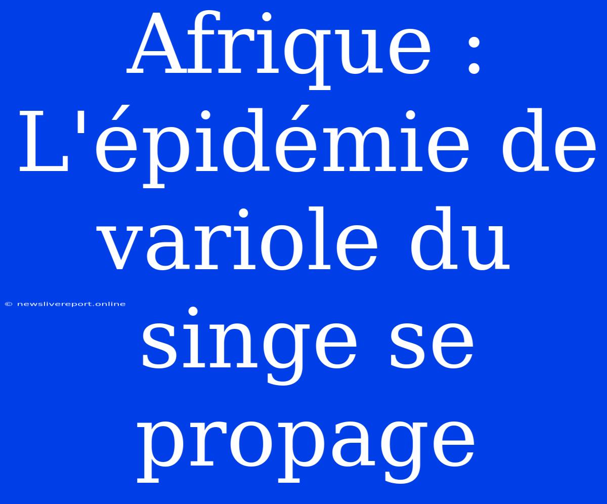 Afrique : L'épidémie De Variole Du Singe Se Propage