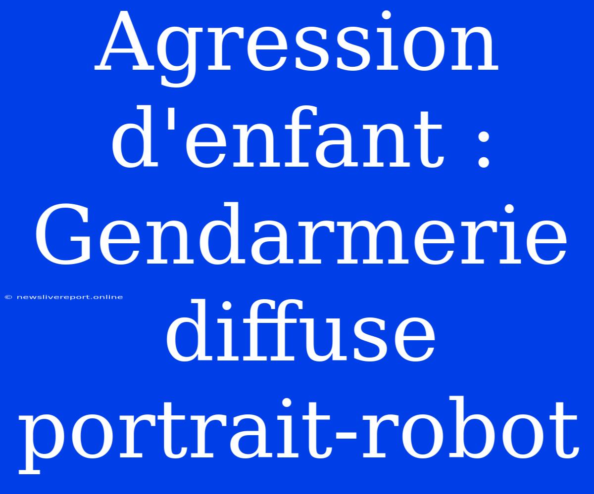 Agression D'enfant : Gendarmerie Diffuse Portrait-robot