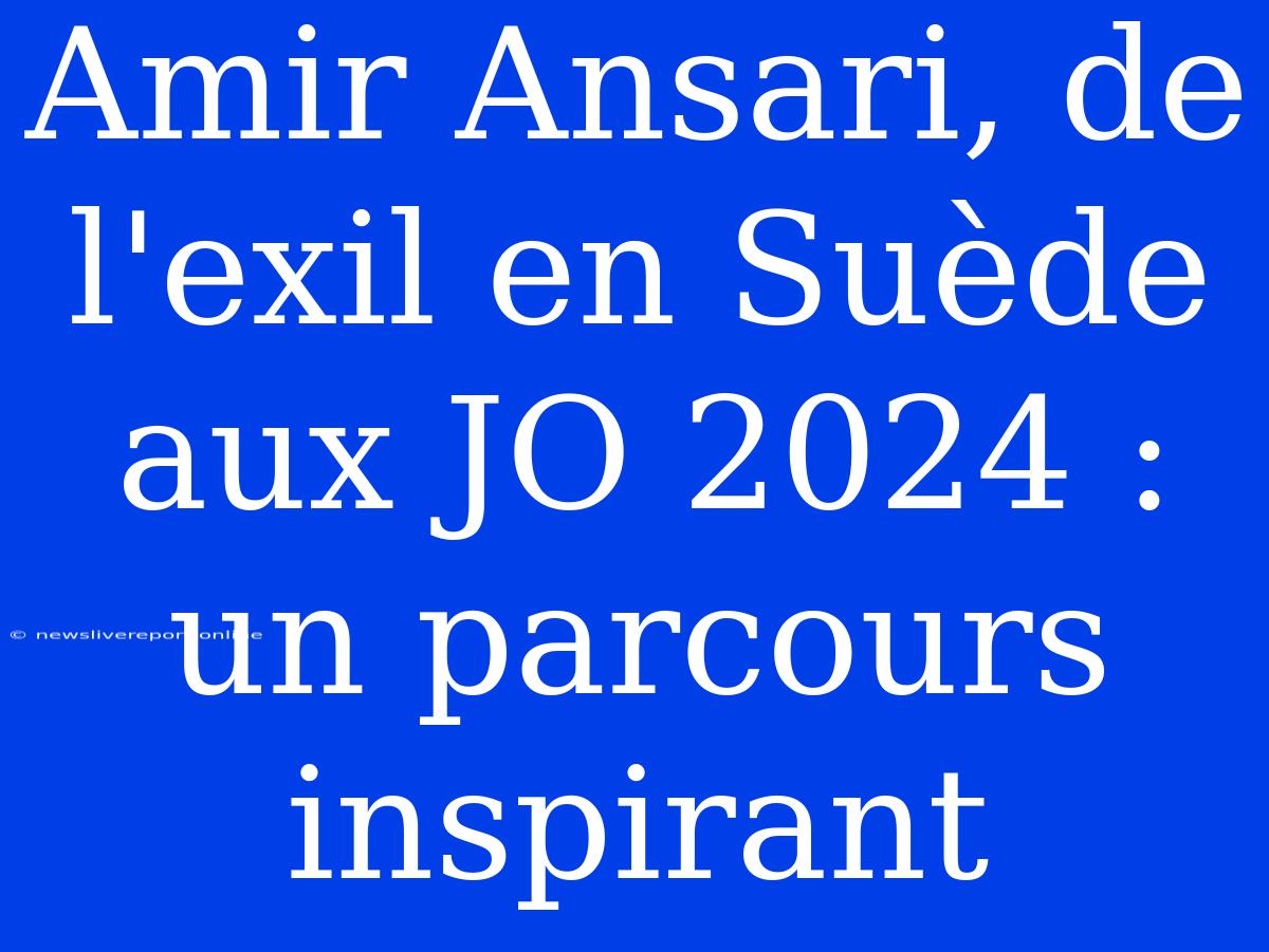 Amir Ansari, De L'exil En Suède Aux JO 2024 : Un Parcours Inspirant