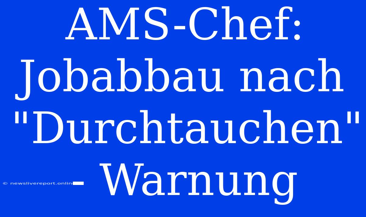 AMS-Chef: Jobabbau Nach 