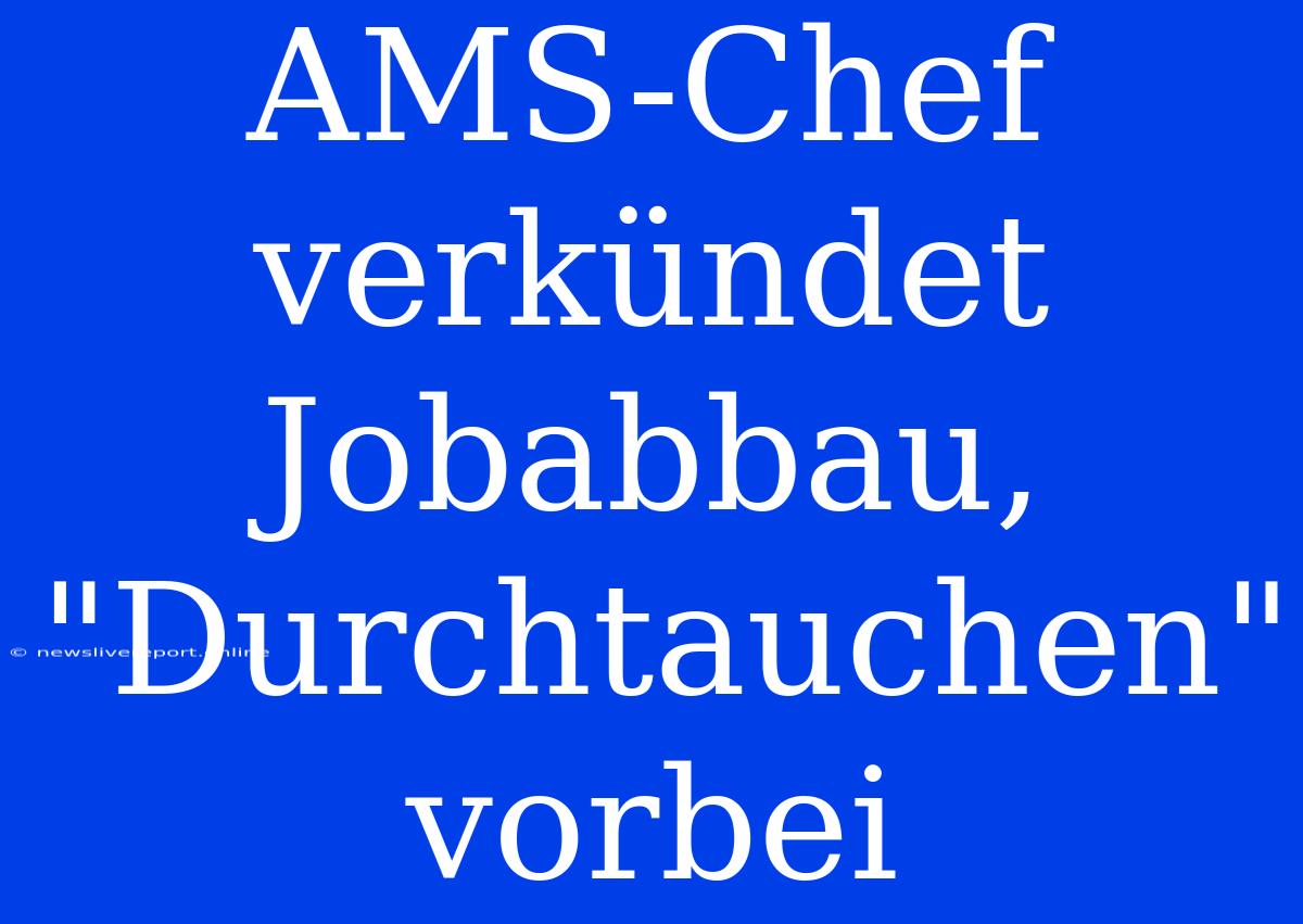 AMS-Chef Verkündet Jobabbau, 