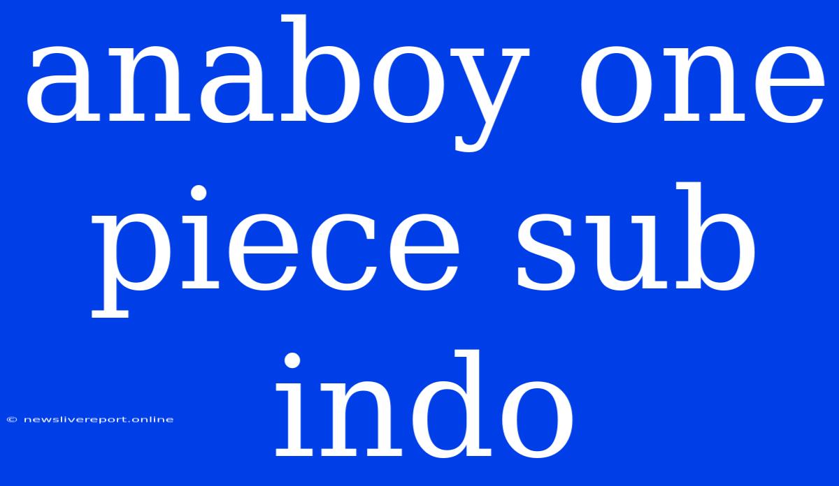 Anaboy One Piece Sub Indo