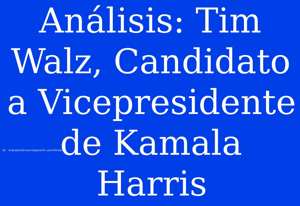 Análisis: Tim Walz, Candidato A Vicepresidente De Kamala Harris