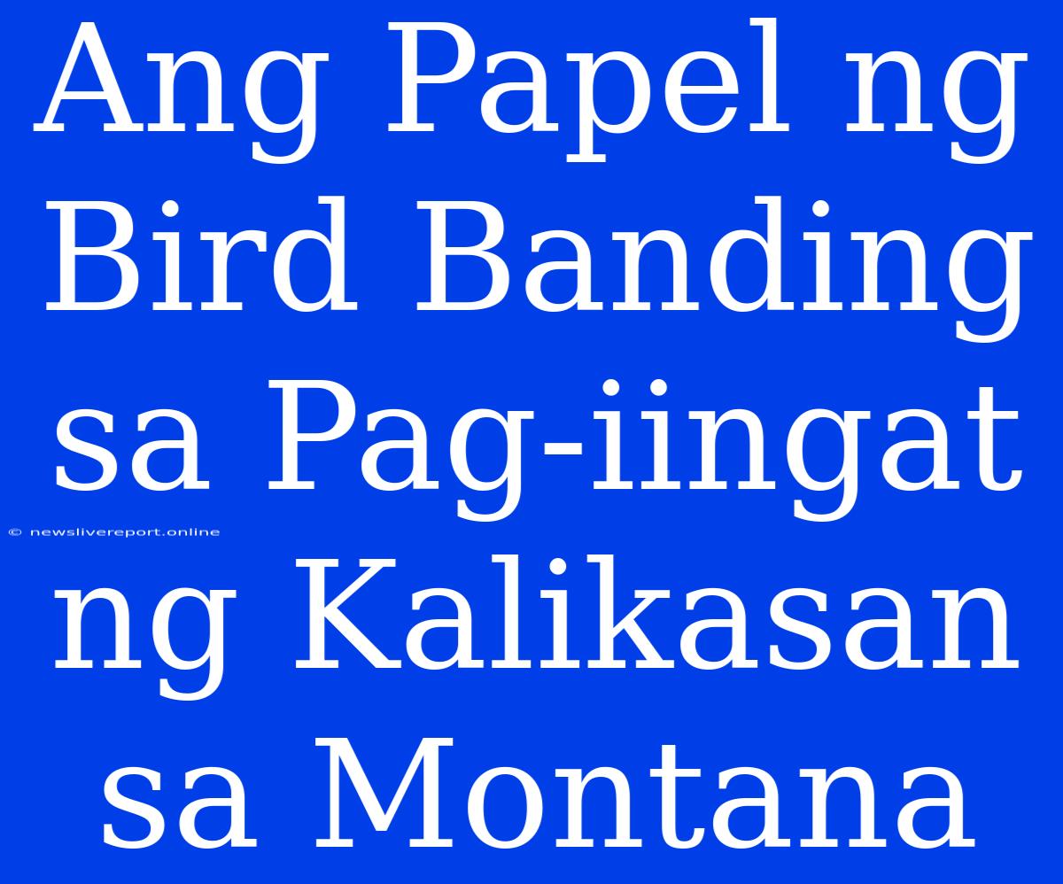 Ang Papel Ng Bird Banding Sa Pag-iingat Ng Kalikasan Sa Montana