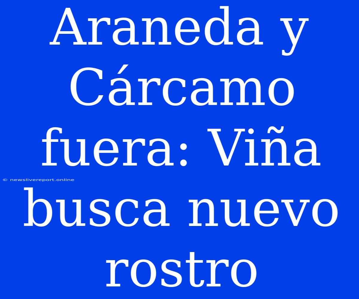 Araneda Y Cárcamo Fuera: Viña Busca Nuevo Rostro