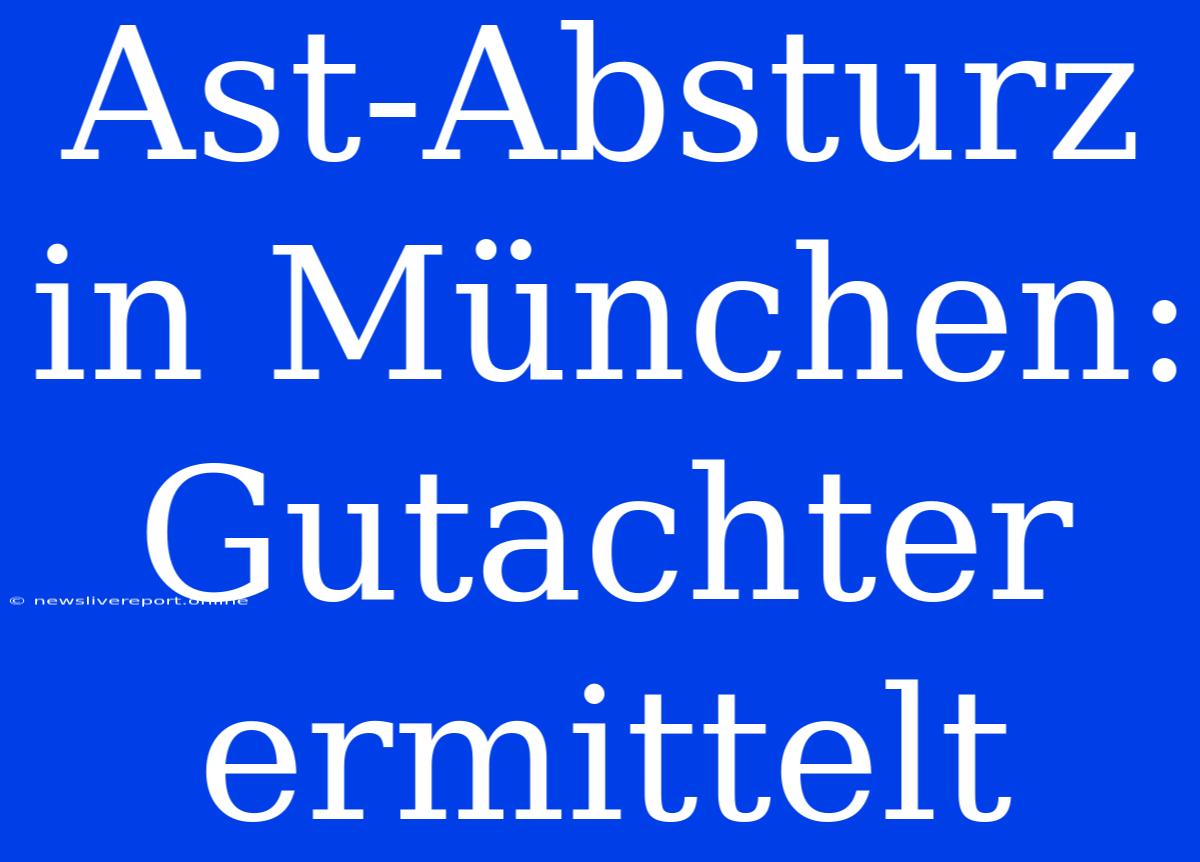 Ast-Absturz In München: Gutachter Ermittelt