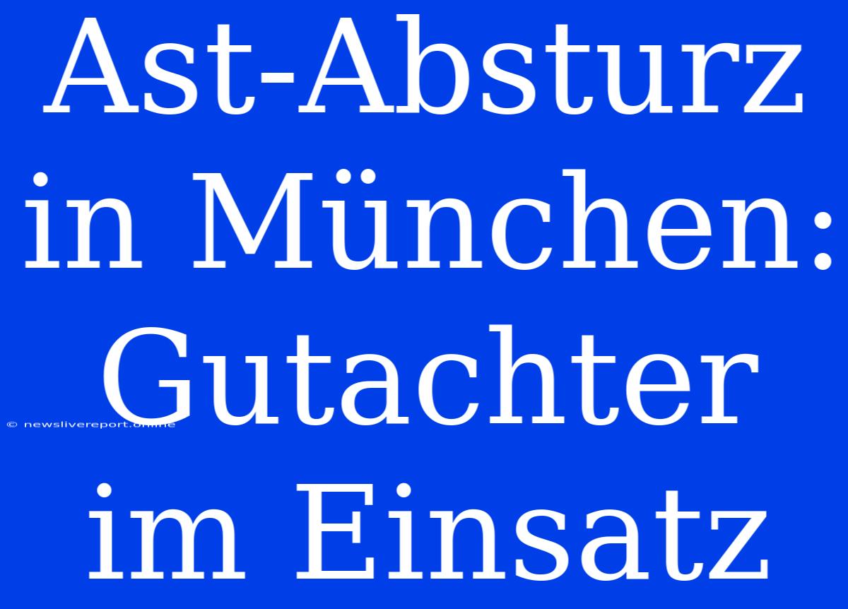 Ast-Absturz In München: Gutachter Im Einsatz