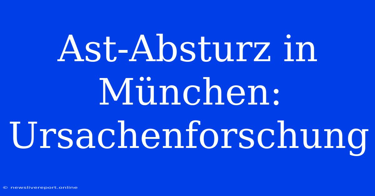 Ast-Absturz In München: Ursachenforschung