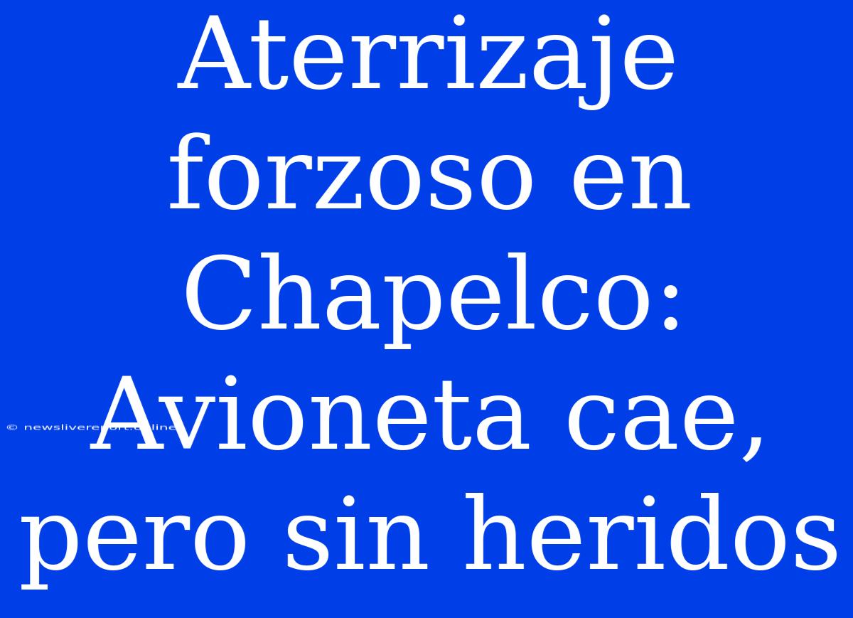 Aterrizaje Forzoso En Chapelco: Avioneta Cae, Pero Sin Heridos