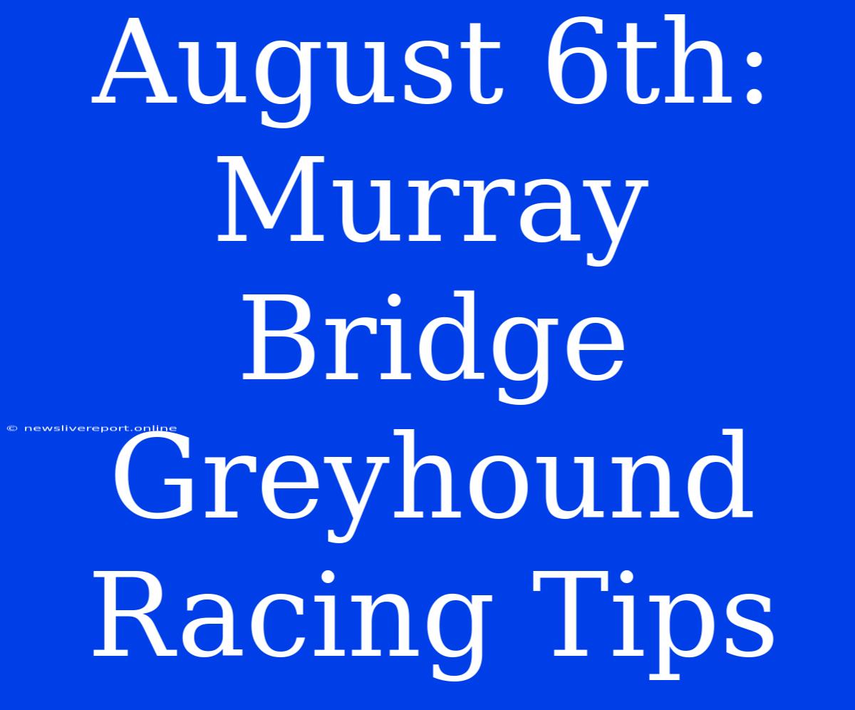 August 6th: Murray Bridge Greyhound Racing Tips