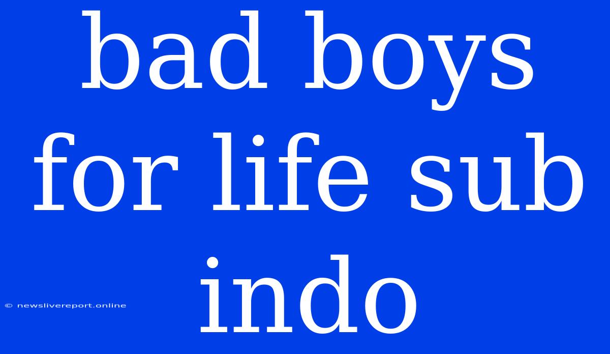 Bad Boys For Life Sub Indo