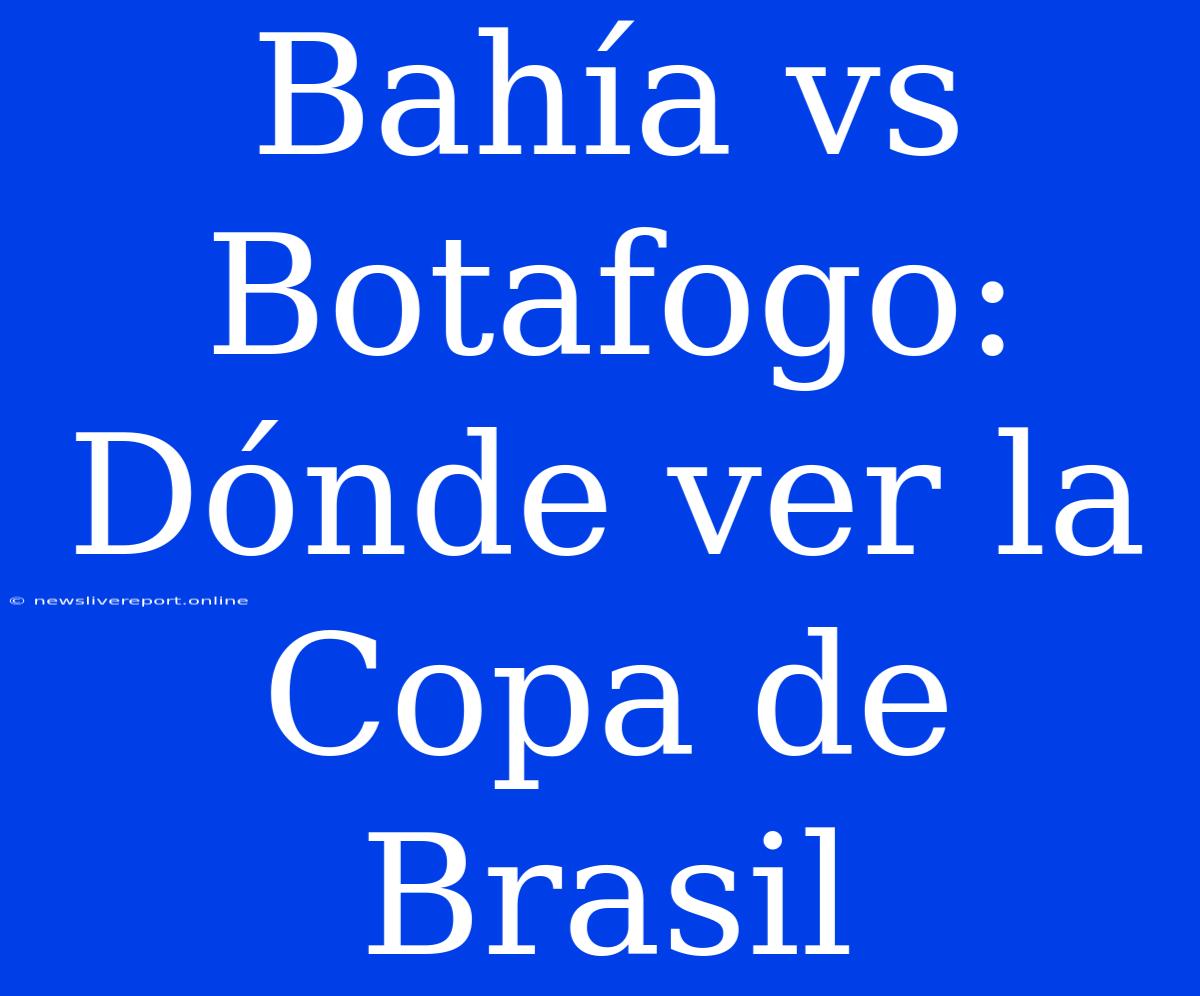 Bahía Vs Botafogo: Dónde Ver La Copa De Brasil