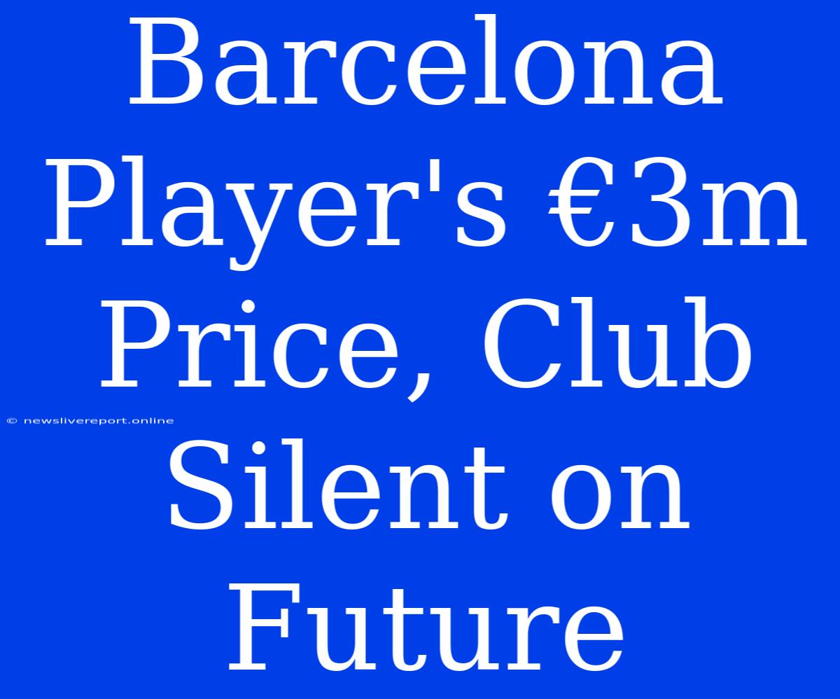 Barcelona Player's €3m Price, Club Silent On Future