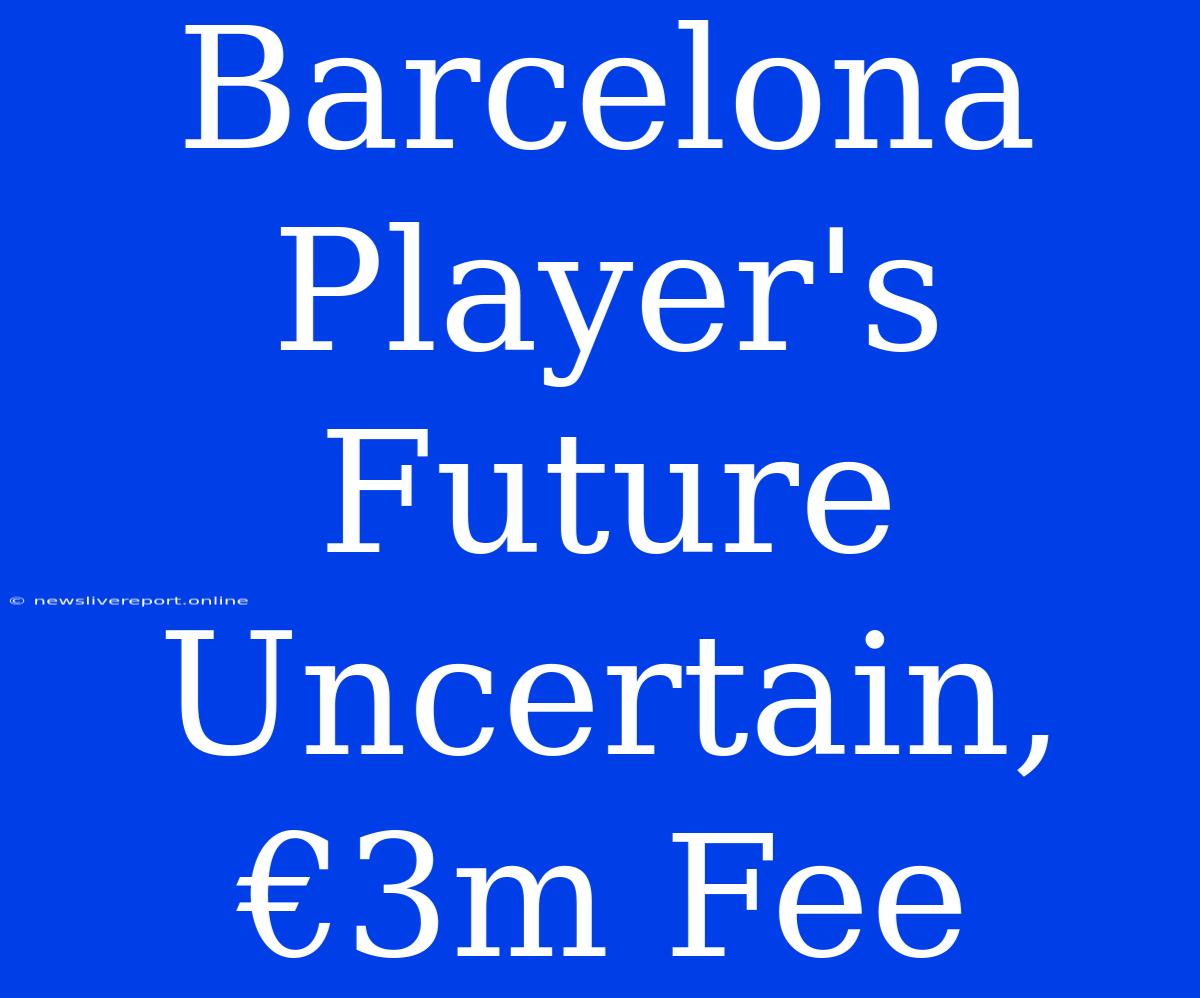 Barcelona Player's Future Uncertain, €3m Fee