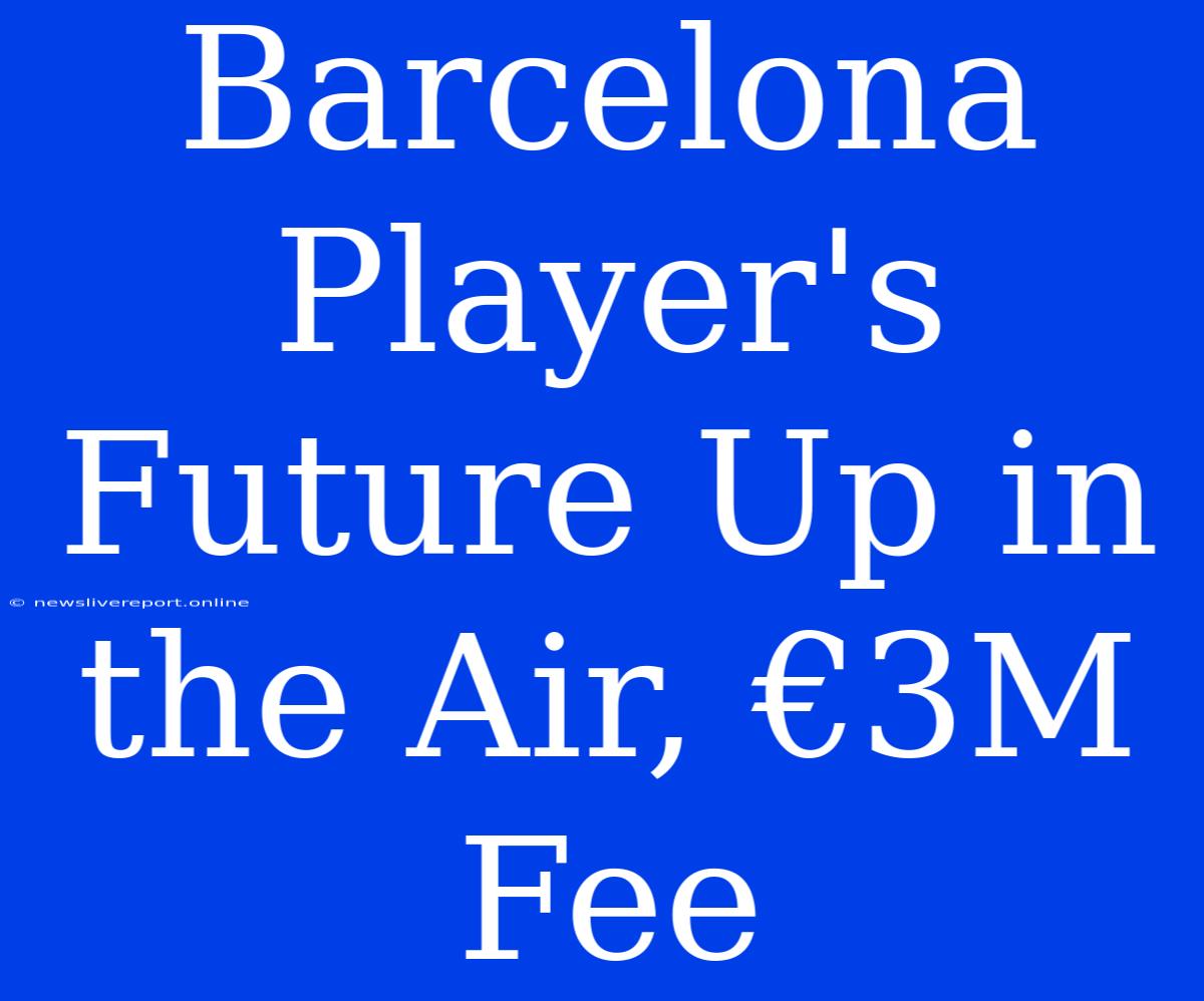 Barcelona Player's Future Up In The Air, €3M Fee