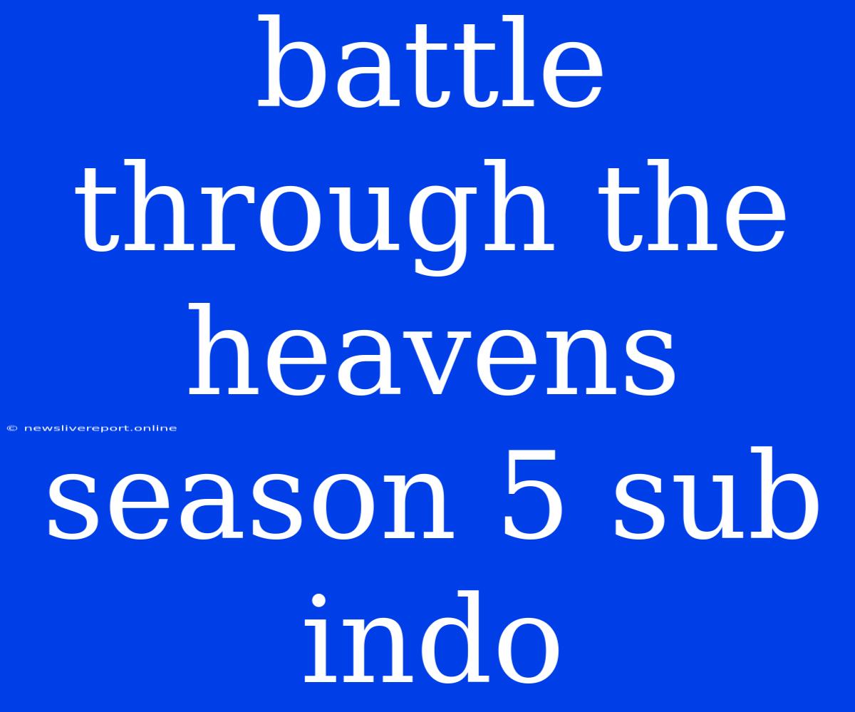 Battle Through The Heavens Season 5 Sub Indo