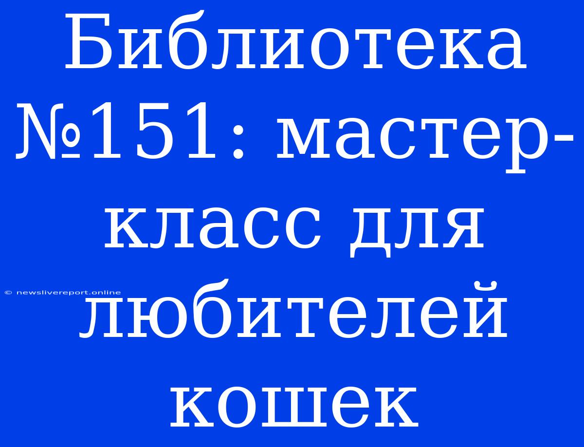 Библиотека №151: Мастер-класс Для Любителей Кошек