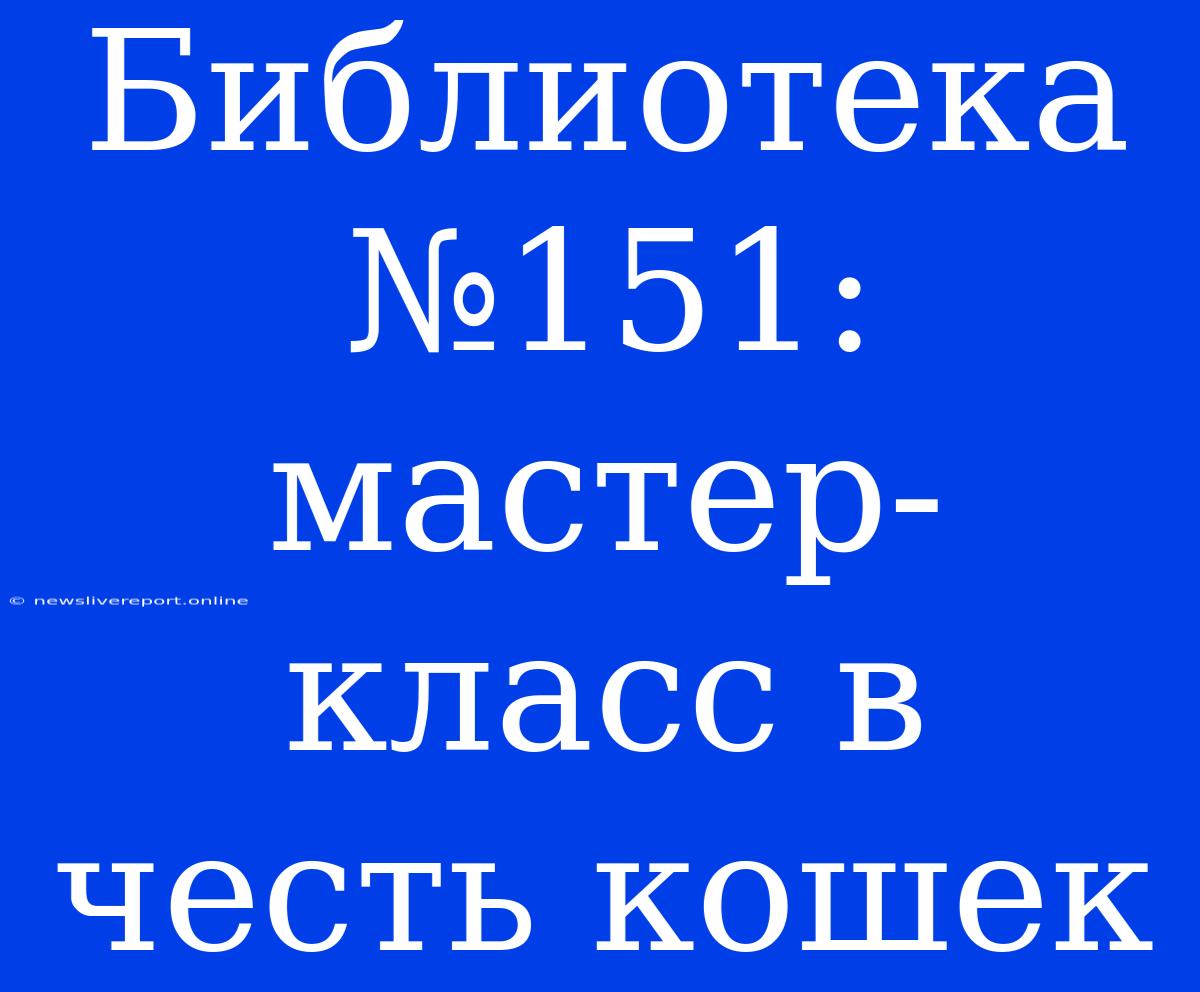 Библиотека №151: Мастер-класс В Честь Кошек