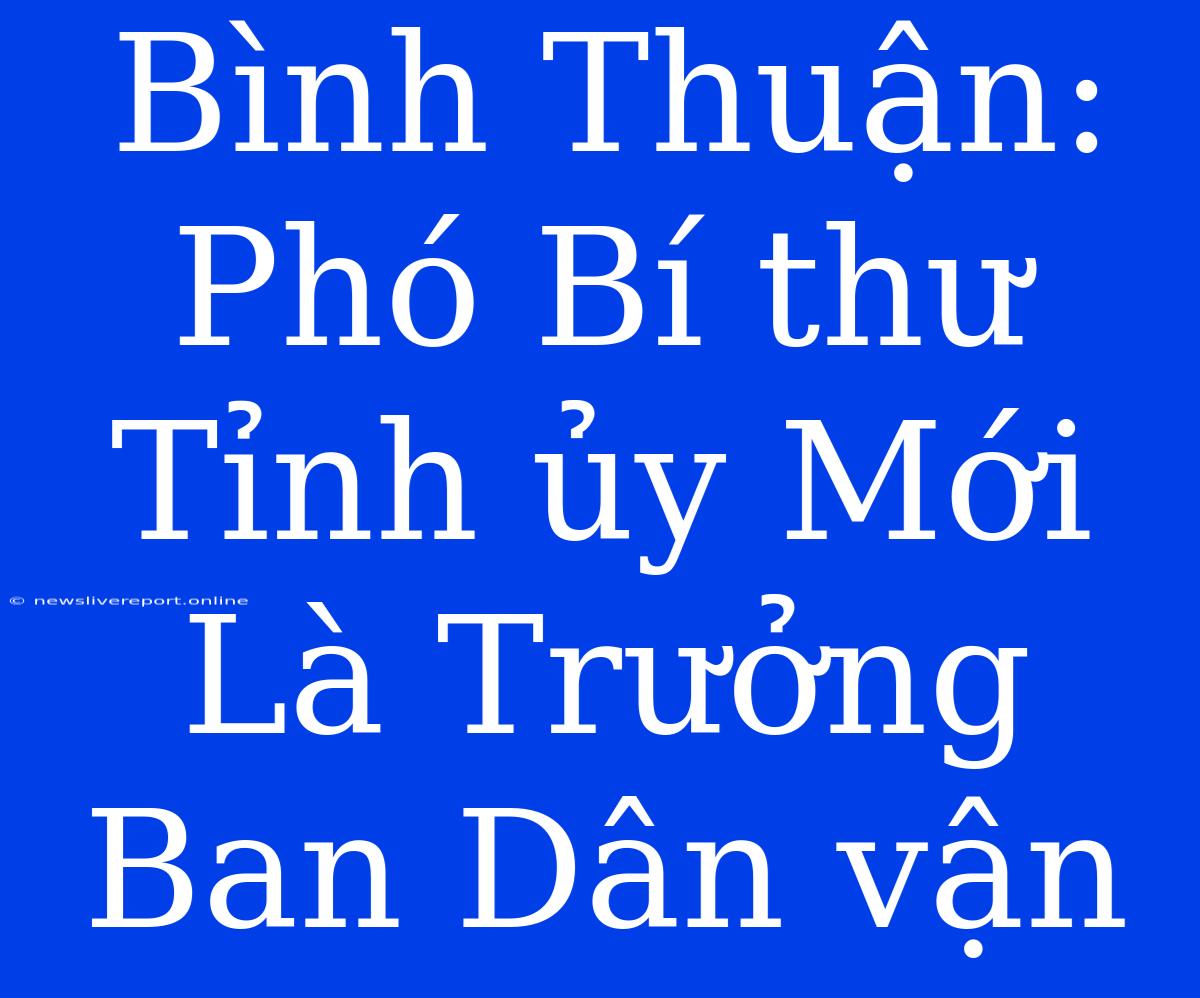 Bình Thuận: Phó Bí Thư Tỉnh Ủy Mới Là Trưởng Ban Dân Vận