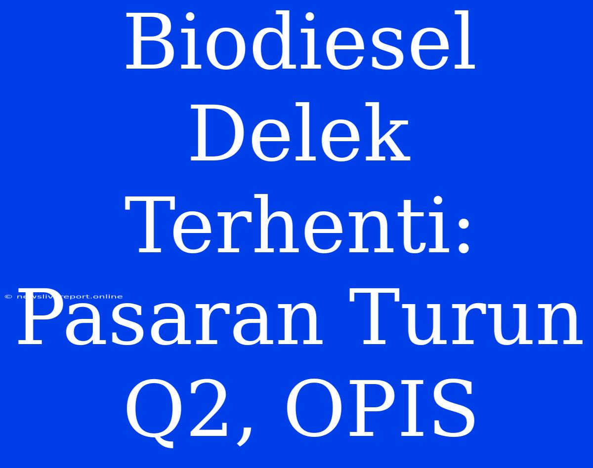 Biodiesel Delek Terhenti: Pasaran Turun Q2, OPIS