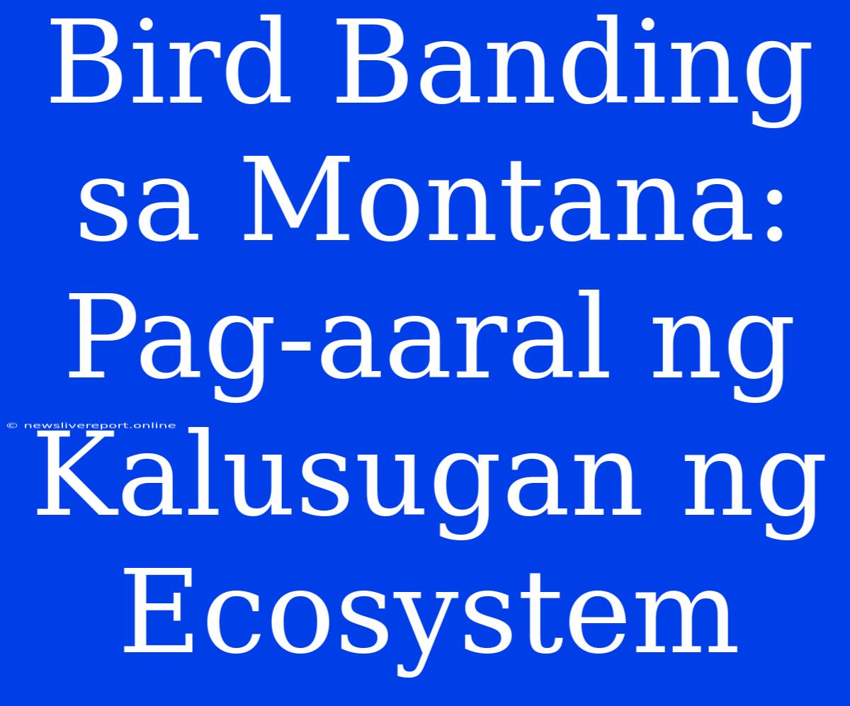 Bird Banding Sa Montana: Pag-aaral Ng Kalusugan Ng Ecosystem