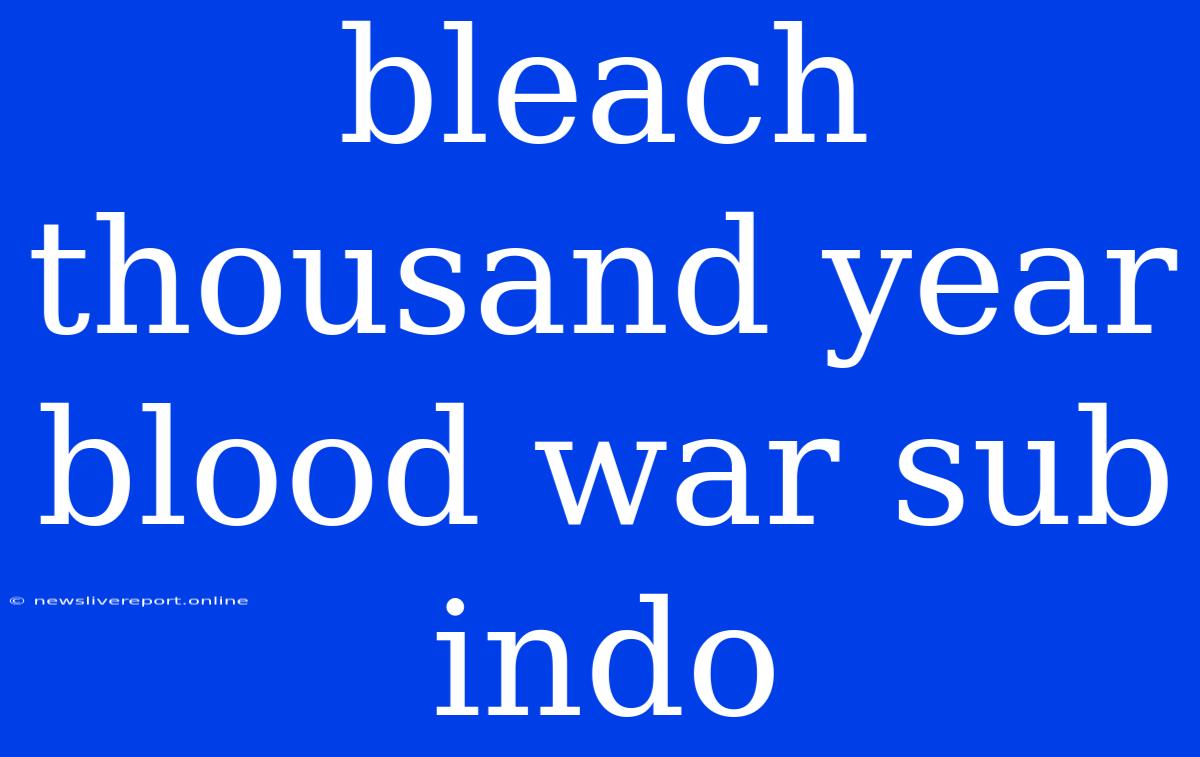 Bleach Thousand Year Blood War Sub Indo