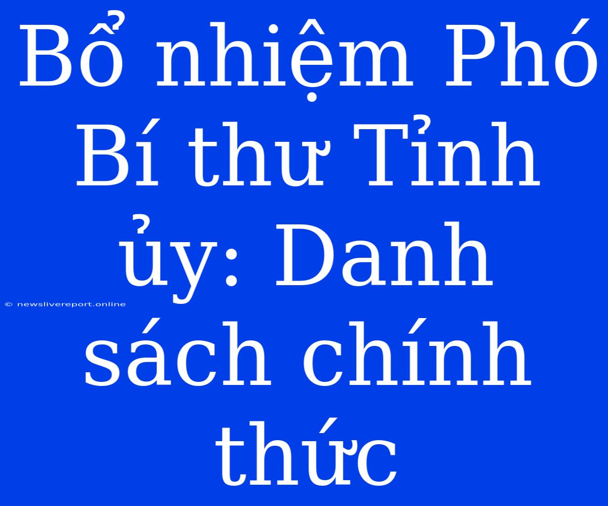 Bổ Nhiệm Phó Bí Thư Tỉnh Ủy: Danh Sách Chính Thức