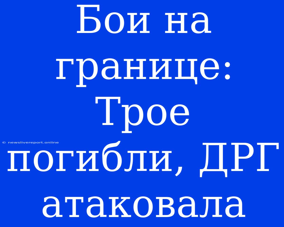 Бои На Границе: Трое Погибли, ДРГ Атаковала