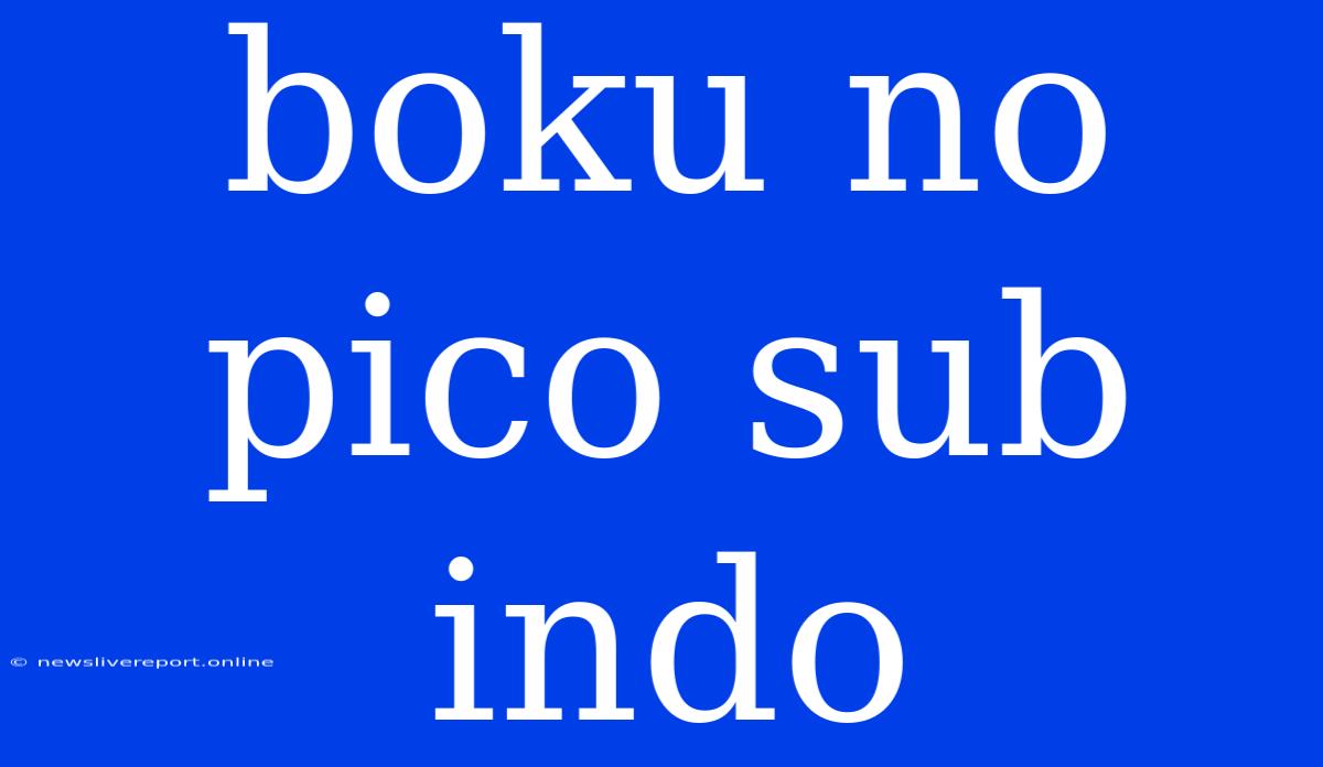 Boku No Pico Sub Indo